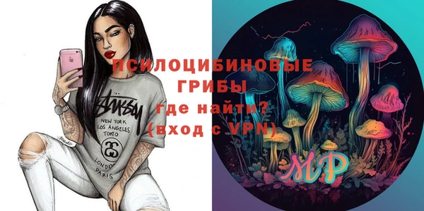 PSILOCYBIN Баксан