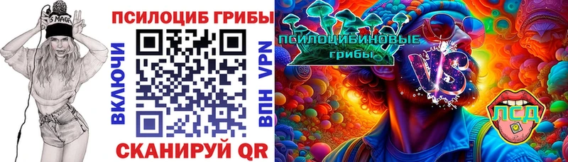 наркота  Кропоткин  Псилоцибиновые грибы Cubensis 